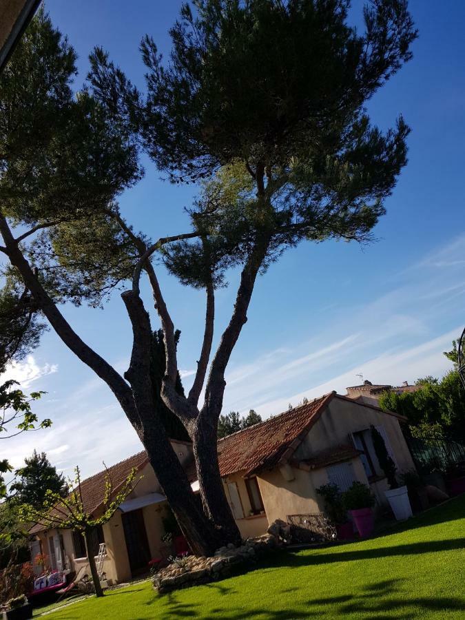 A L'Oree Du Pin Aix-en-Provence Dış mekan fotoğraf